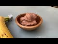 Homemade Banana Chocolate Ice Cream Recipe