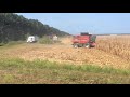 2017 Corn Harvesting in Morgans Corner NC.