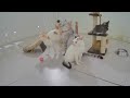 🙀 Laugh Uncontrollably! Best Funny Cat Videos 2024 😘😘 Best Funny Videos compilation Of The Month ❤️🤣