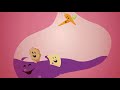 Party in My Tummy - Yo Gabba Gabba! Nursery Rhymes & Kids Songs