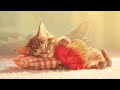 2 Hours of Relaxing Lullaby Cat Music! 😽 Calm Piano music with Cat Purring Sounds