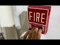 Basement Fire System Test 29 | Honeywell Fire Alarms (Wheelock MT Horn Strobes)