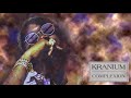 Kranium - Complexion [Official Audio]