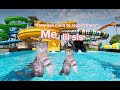 Family cat road trip to the water park | complication