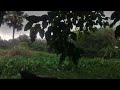 Relaxing Rainforest Rain Sounds for Sleeping or Studying 🌧️ White Noise Rainstorm 1 Hours