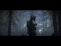 Raw Scenes from S.T.A.L.K.E.R 2 Trailer (Resounded)