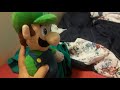 Luigi's yui kui go cards