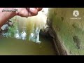 APA INI YANG NAMANYA SARANG IKAN ‼️ || Spot kolong jembatan