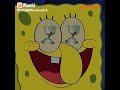 bob esponja