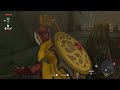 Link Becomes a YIGA BLADEMASTER