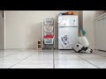 Cleaning Robot Animation.wmv