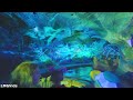 [4K] Navi River Journey - Pandora: World of Avatar - Animal Kingdom, WDW | 4K 60FPS POV