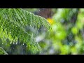 Rain Sound On Window with Thunder SoundsㅣHeavy Rain for Sleep, Study and Relaxation, Meditation