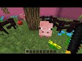 🐮ПРЯТКИ НО ТОЛЬКО ЖИВОТНЫМИ В МАЙНКРАФТ! ШЕДИ ЛЕСКА И НУБИК ТРОЛЛИНГ MINECRAFT