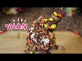 Reeses Protein Freak Shake *NEW*