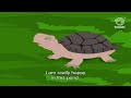 Aesop's Fables - The Tortoise and The Eagle - Moral Stories for Kids