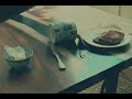 One minute short film | Toast 2023