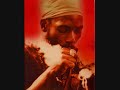Capleton - Get the Hell Out (strong grain riddim)