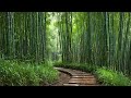 Rain Sounds For Sleeping, Soothing White Noise For Relaxation, Meditation, Studying, ASMR