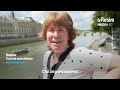 Les tribunes de la cérémonie d’ouverture des JO ont envahi les quais de Seine et les ponts de Paris