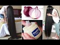 How to use Vaseline and onion to grow hair 2 cm per day Very fast |||