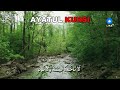 Ayatul Kursi | Heart Touching & Beautiful Voice Relaxing Quran Recitation | Ayat ul Kursi Ki Tilawat