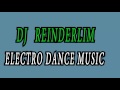 dj reinderlim vocal dance 2015