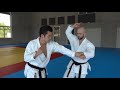 ANAN pt. 2 - ryuei ryu kata explanation - TEAM KI