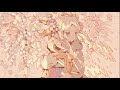 sasakure. UK - Ego  feat. Hatsune Miku