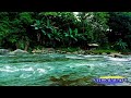 relaxing nature sounds | Relaxing music Relieves stress, Anxiety and Depression