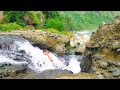 Bahan bonsai di pesisir pantai. Spot wisata baru pantai pangasan di kabupaten pacitan