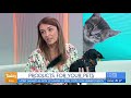Today Show Funny Bits Part 104. Hot Chili Dog!.