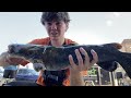 FlatHead Fishing From A Busy Street! (THEY WERE BITING)