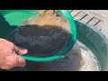 Dry Washing for Gold using a Shaker Table -- Dry Shaking Experiments for Gold Concentration