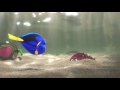 Finding Dory Official TRAILER 1 (2016) - Ellen DeGeneres, Idris Elba Animated Movie HD