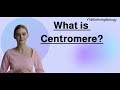 What is Centromere? | Biology Definitions