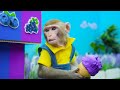 KiKi Monkey goes to the toilet with Duckling & eat Rainbow Jelly at swimming pool | KUDO ANIMAL KIKI