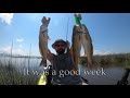 3 days of fishing in Biloxi, MS and on the last day I limited out on redfish within an hour