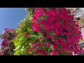 World Famous Island Of Gardens | Mackinac Island Summer Garden Tour 2023