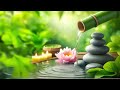 Relaxing music bamboo - Insomnia Healing, Heal Mind