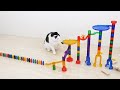 Cats and Domino