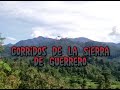 Los Armadillos De La Sierra-Corridos Chingones Mix