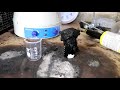Making Sulfuric Acid using the Chamber Process
