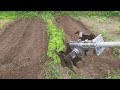 Tiller - brush cutter attachment. Cultivator