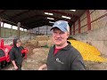 FEEDING COWS 28,000KG OF ORANGES TO MAKE MILK!?... DOES IT WORK??