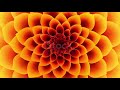 Background video, Beautiful continuous flower wallpaper