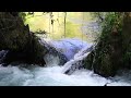 Amazing turquoise waterfall in the forest 1 hour white sound to sleep,relaxing blog