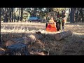 HARD WORK: Logging the Family Ranch. 4 min series