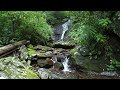 Courthouse, Cody, and Chestnut Falls - Pisgah National Forest