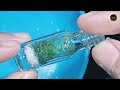 Super Tiny Bottle Garden | Tiny Moss Garden | Trending Tiny Bottle Moss Garden